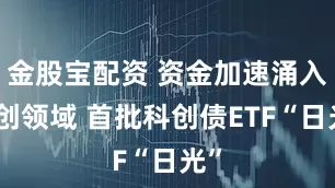 金股宝配资 资金加速涌入科创领域 首批科创债ETF“日光”