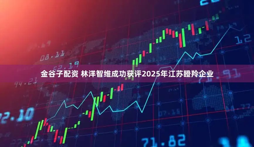 金谷子配资 林洋智维成功获评2025年江苏瞪羚企业