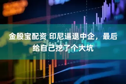 金股宝配资 印尼逼退中企，最后给自己挖了个大坑
